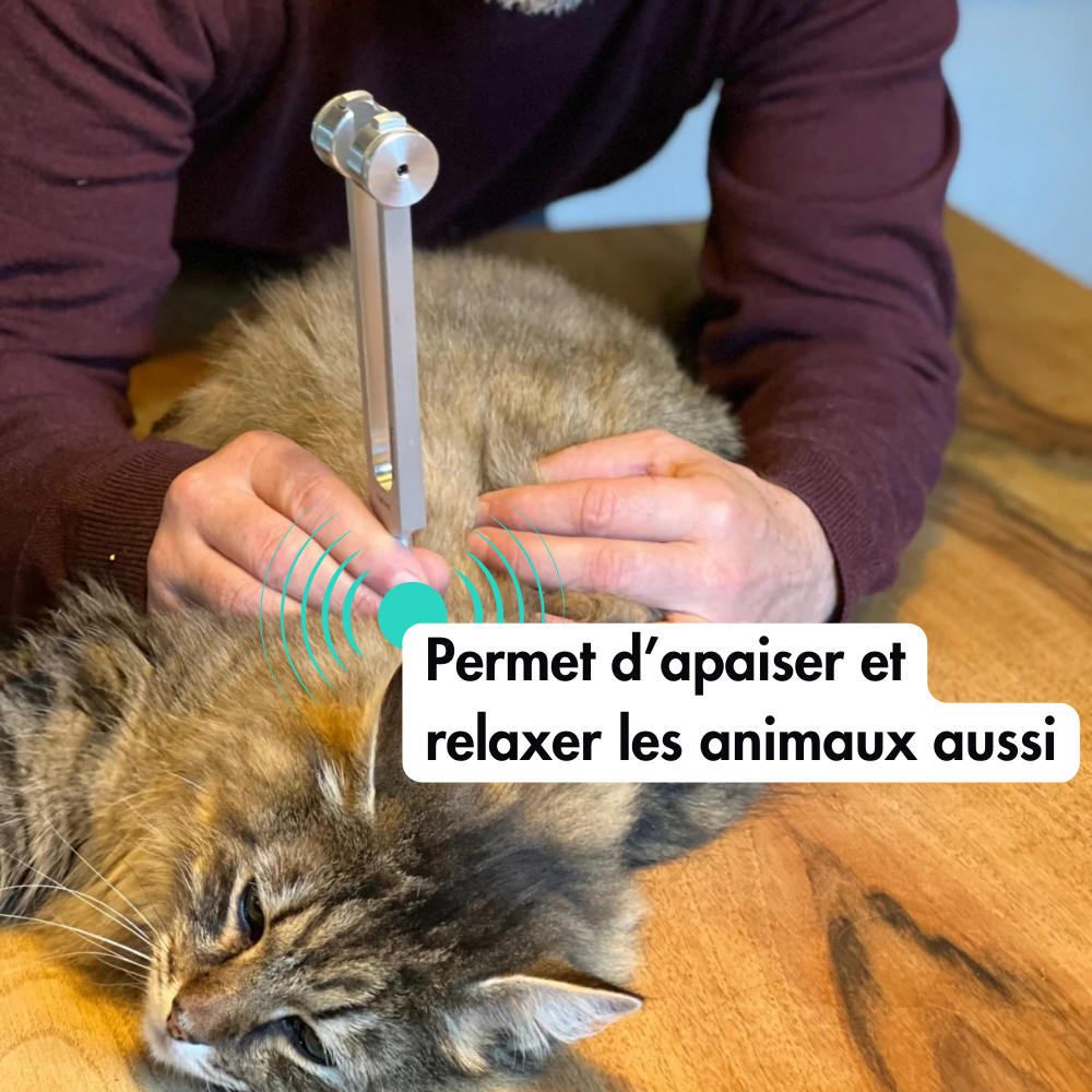 Diapason thérapeutique 128Hz